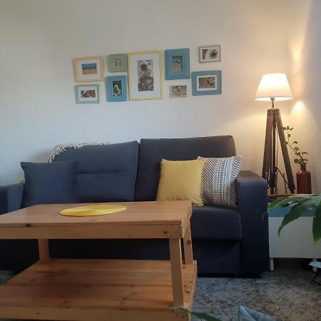 Bonito Y Coqueto Apartamento Кордоба Екстериор снимка