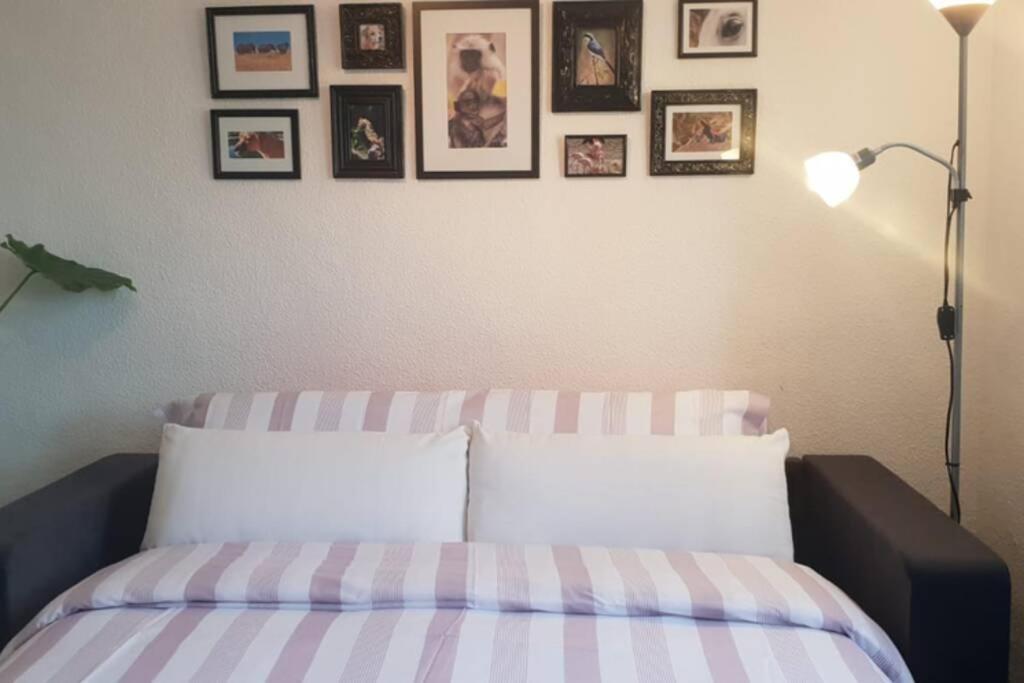 Bonito Y Coqueto Apartamento Кордоба Екстериор снимка